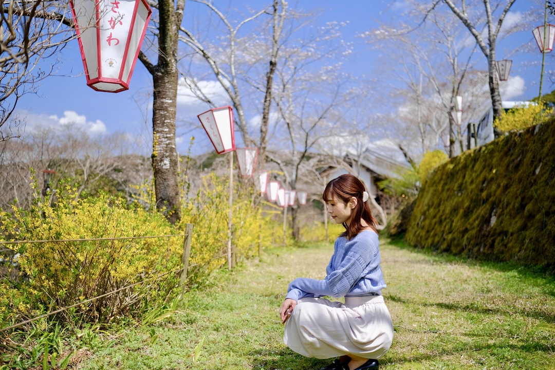 Thumb 3810367a 10bc 4e24 aa13 5cdab4f71d82