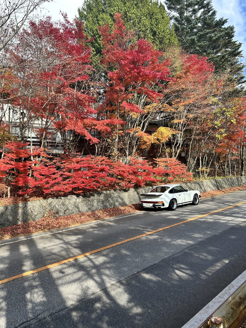 Thumb fc0cdf6c 50b2 4d53 8822 161174433d2a