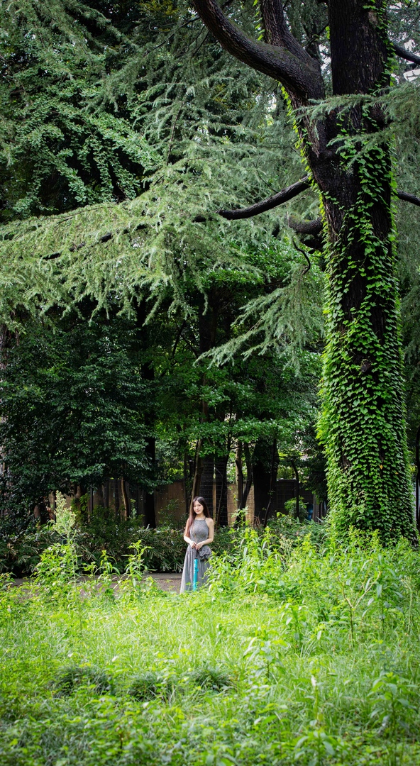 Thumb 1316d5fc 36fb 4c45 a224 5ce988fa0e5b