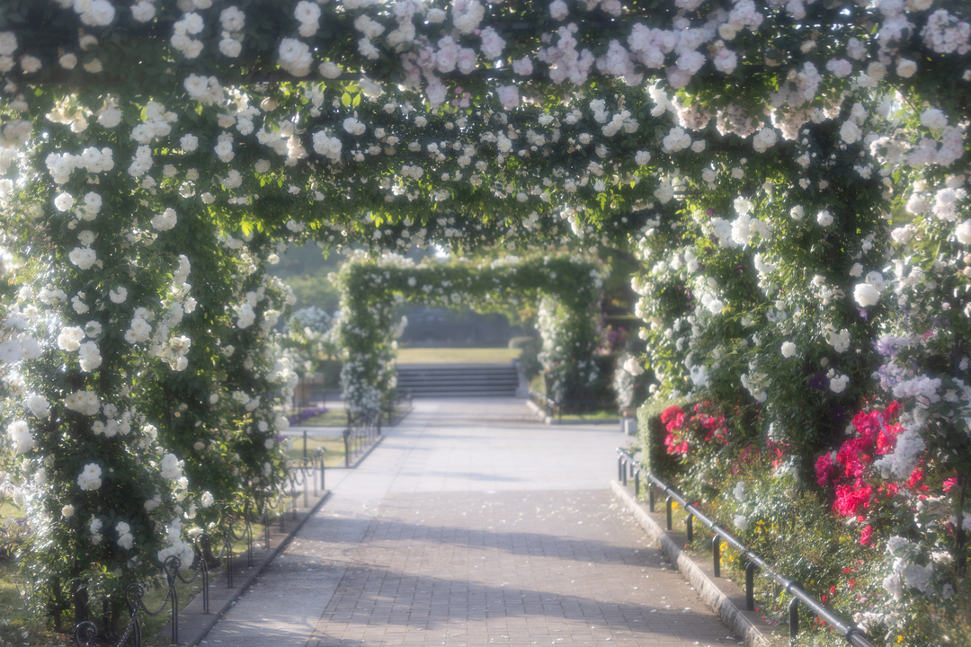 Thumb 91dfc625 c180 4a15 92a6 d202e24c36a6