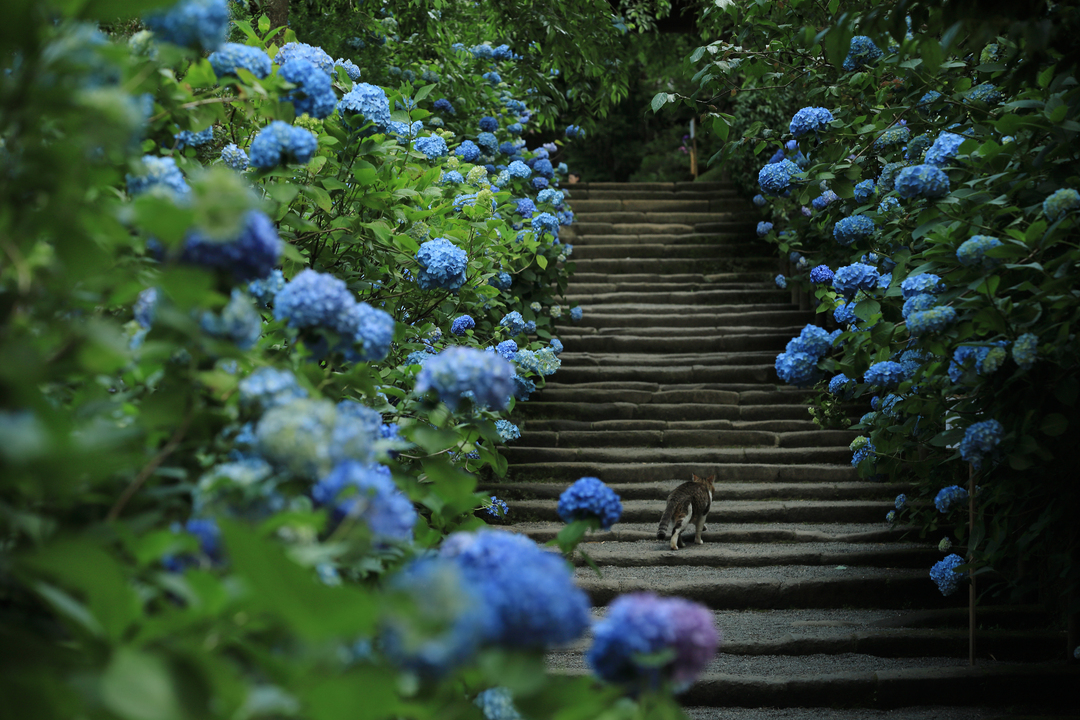 Thumb c71c64c7 6cf2 4d90 bac2 9f0af8f965e7