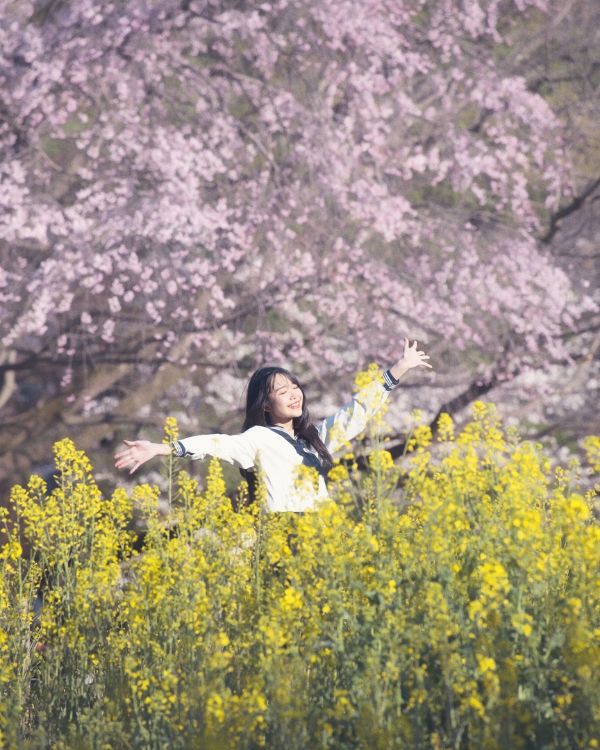 Thumb f224cfd5 b0d4 49c8 afd9 a3e276875034