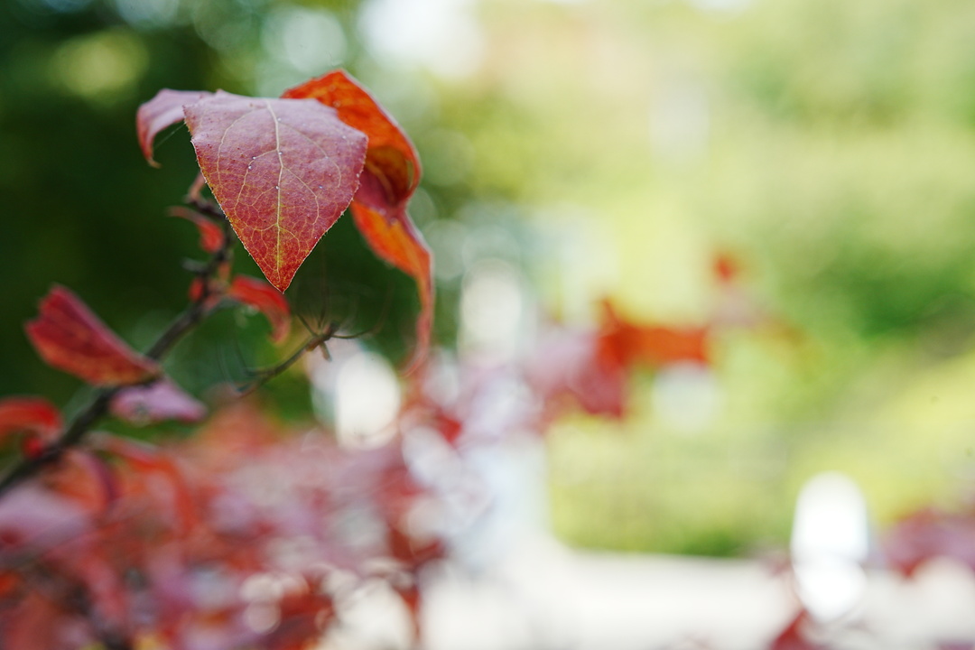 Thumb 91d8d261 4404 4bf3 9835 7349fc3169e2