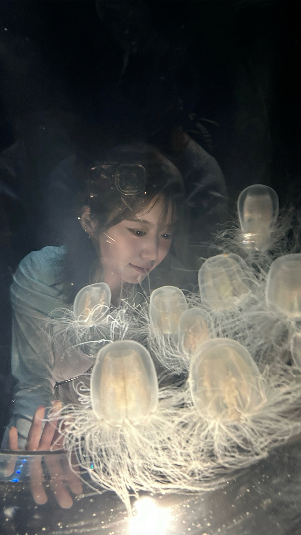 Thumb ead516f3 cfe8 4c71 9c50 f568ad351824