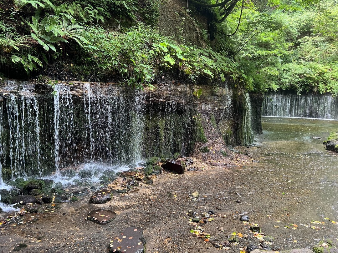 Thumb 6b7fd844 3a0c 4f68 b0f0 f3a30a932621