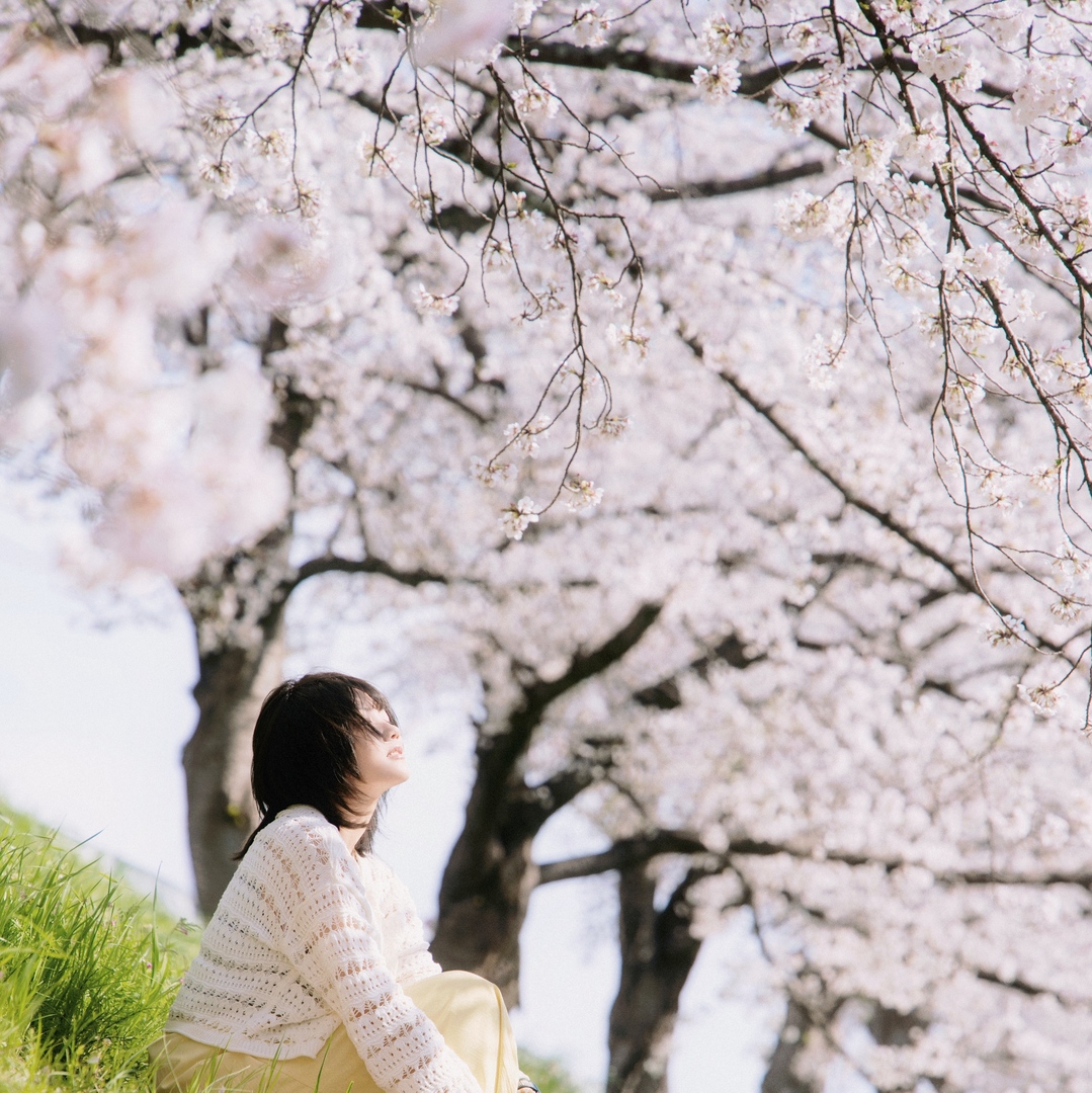 Thumb 8cc1634c de1b 4e54 8edd f9109604de60