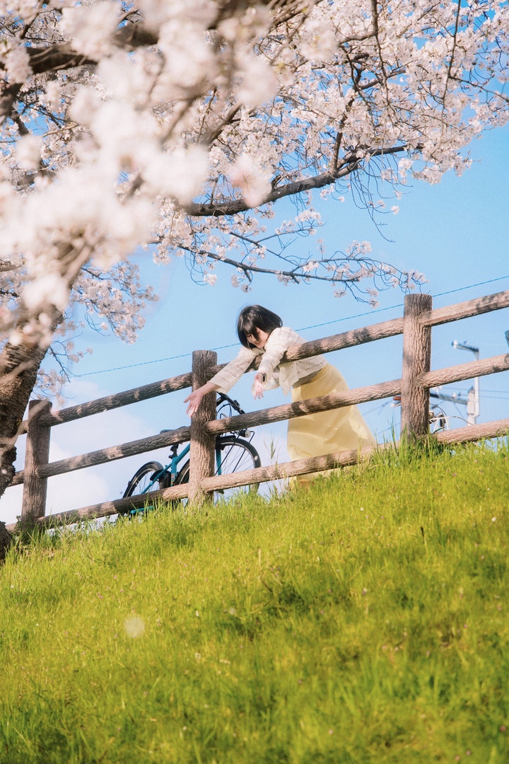 Thumb 3acea528 2838 4d61 acb1 0c41886aac83