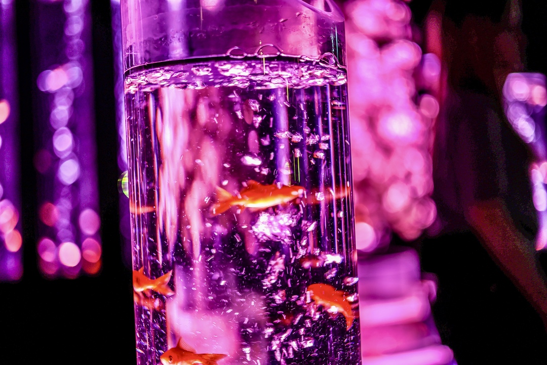 Thumb 71c6f88f c9ed 4431 a638 de572ab6414f