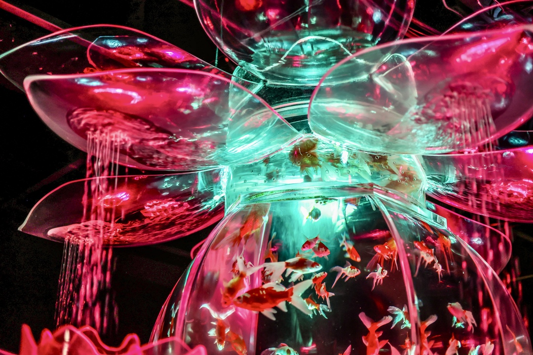 Thumb da36cbcb 4d2f 4c83 9a45 df485c111977