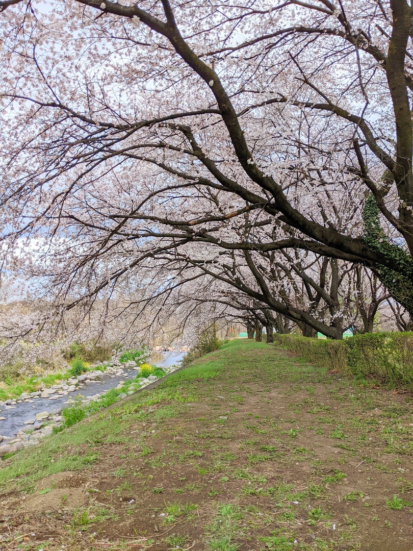 Thumb 6fbda43b 37be 48bf 9371 5cb9ed0be124