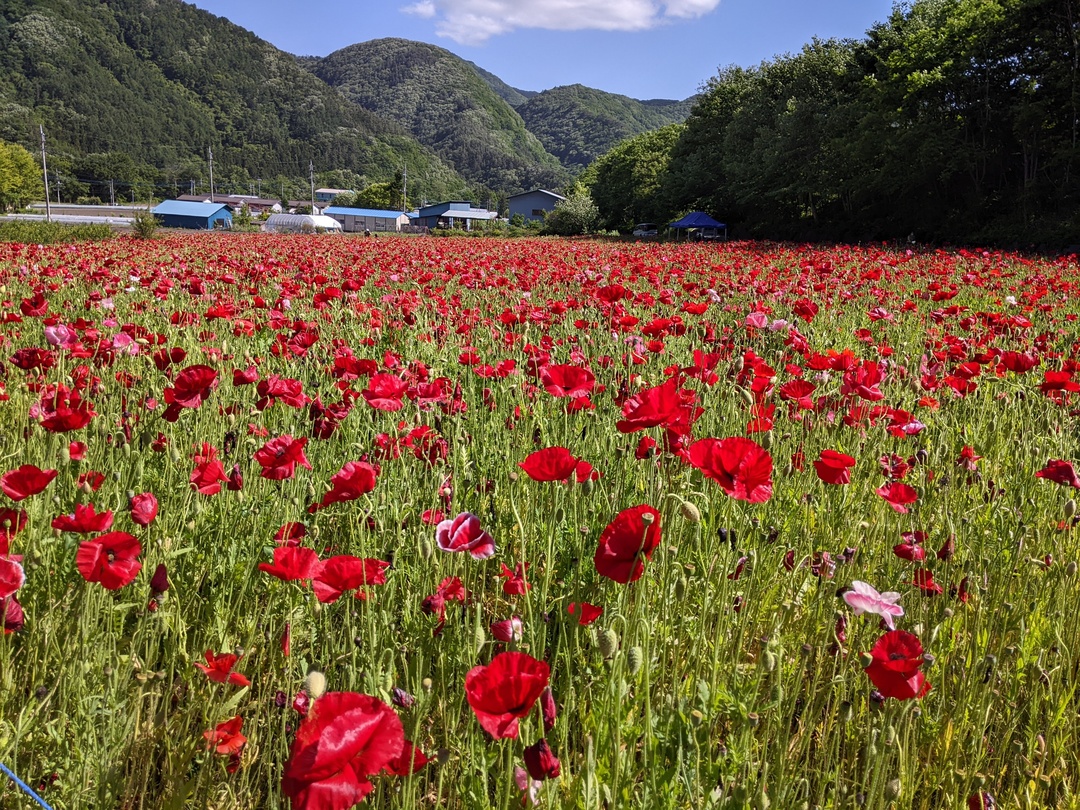 Thumb 0c4d850c 78f4 4306 b93e d04ecbc6be80