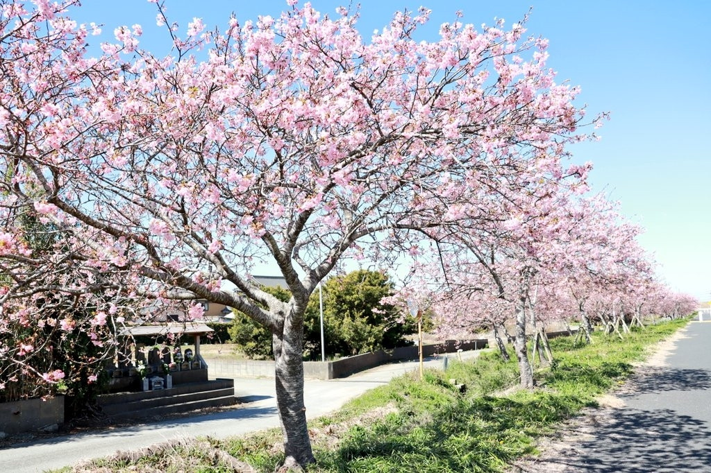 Thumb 777b92b3 02cb 4b8c 8b7b 87e8a7c093d6