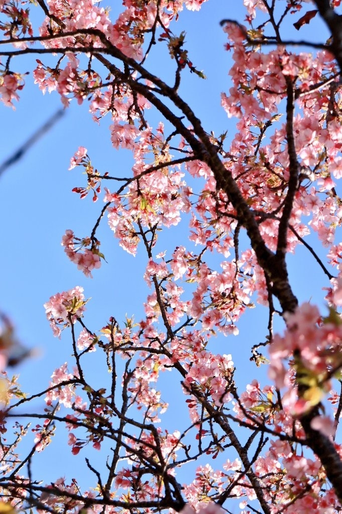 Thumb add01333 0db5 4fdc 86cc 1cfdc36ca491