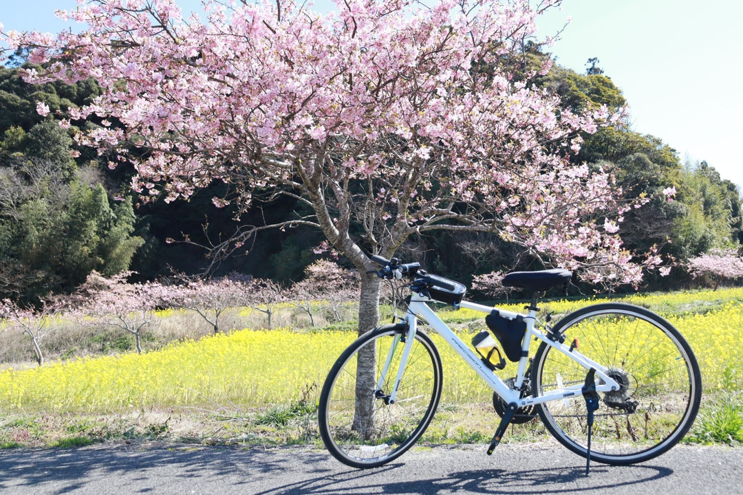 Thumb 58988f33 9afc 4549 9011 c3874494d394