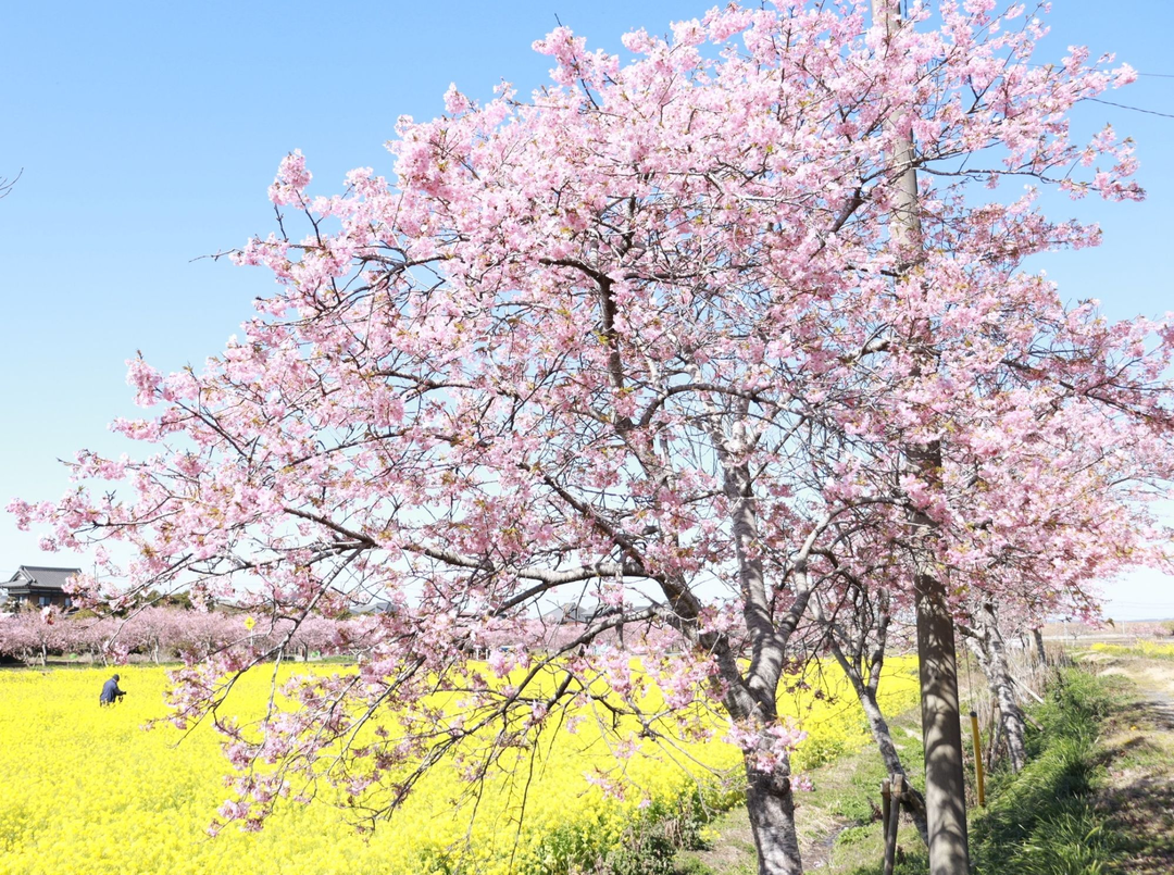 Thumb fe82080c 854c 4c79 a721 b6d1cd3faaf9