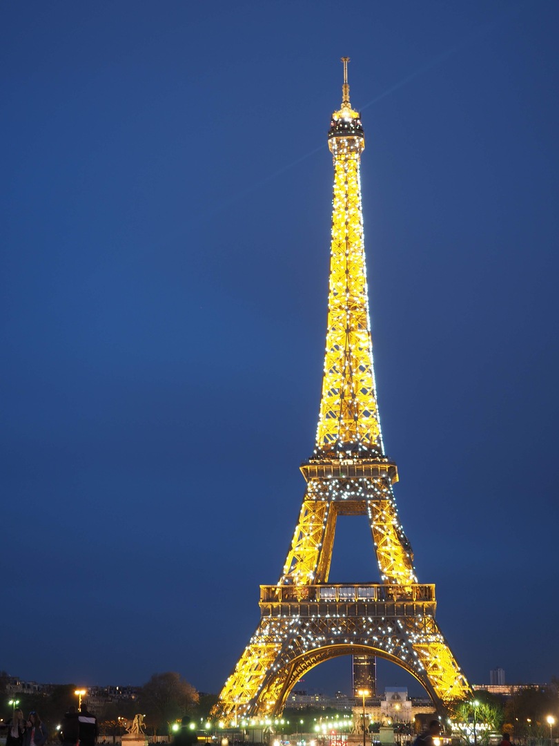 Thumb 6cb41c2f 3cd4 4d90 9e95 76a79d0f1e09