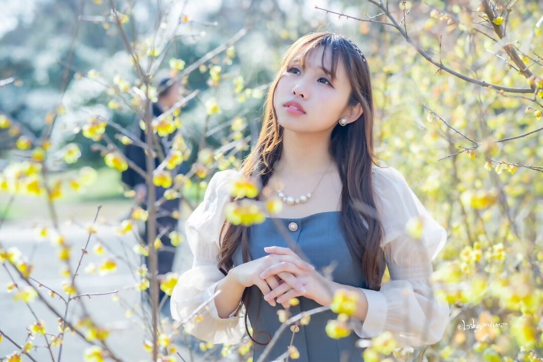 Thumb c64a02cb 94ba 44ed b409 c056fb51953c