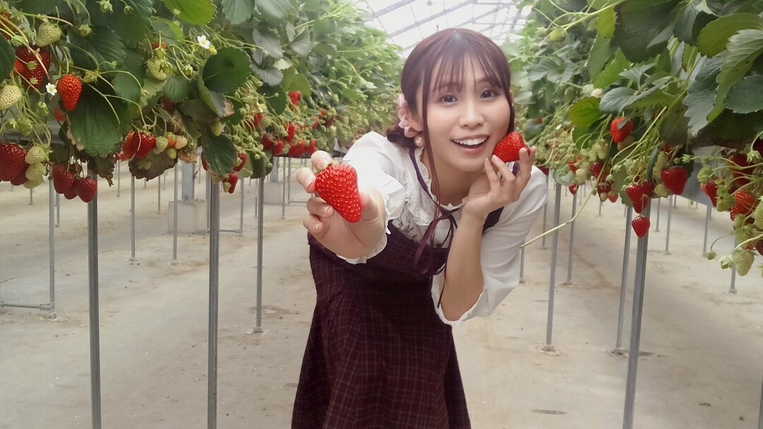 Thumb 9fbdf03c 9711 4395 935c 64aca0b24590