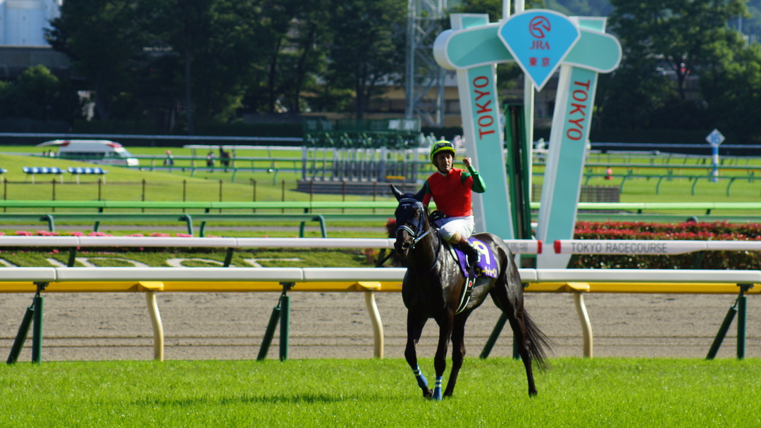 Thumb 199ce773 7451 425f bb5b 3ab2ea48503a