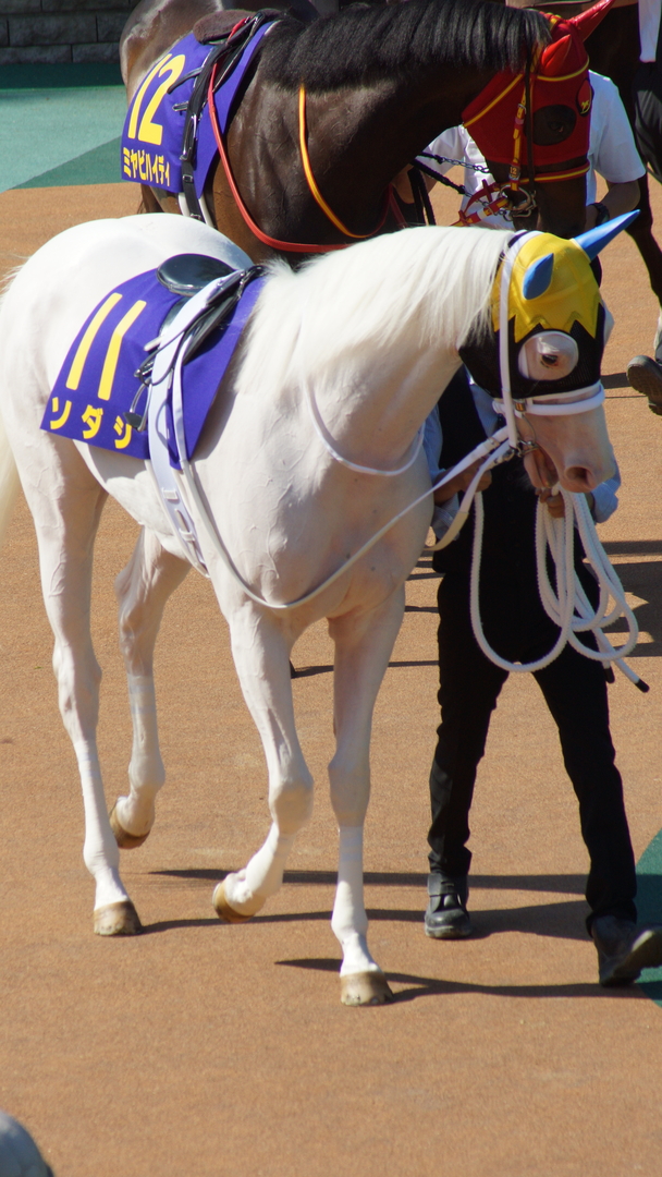 Thumb 509d6f44 e377 43ef 905a 667b030a0431