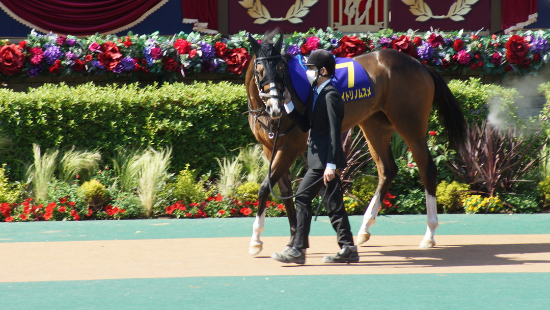 Thumb 2d1c3ae3 1661 4dc1 95bd 450b6dd6fc7a