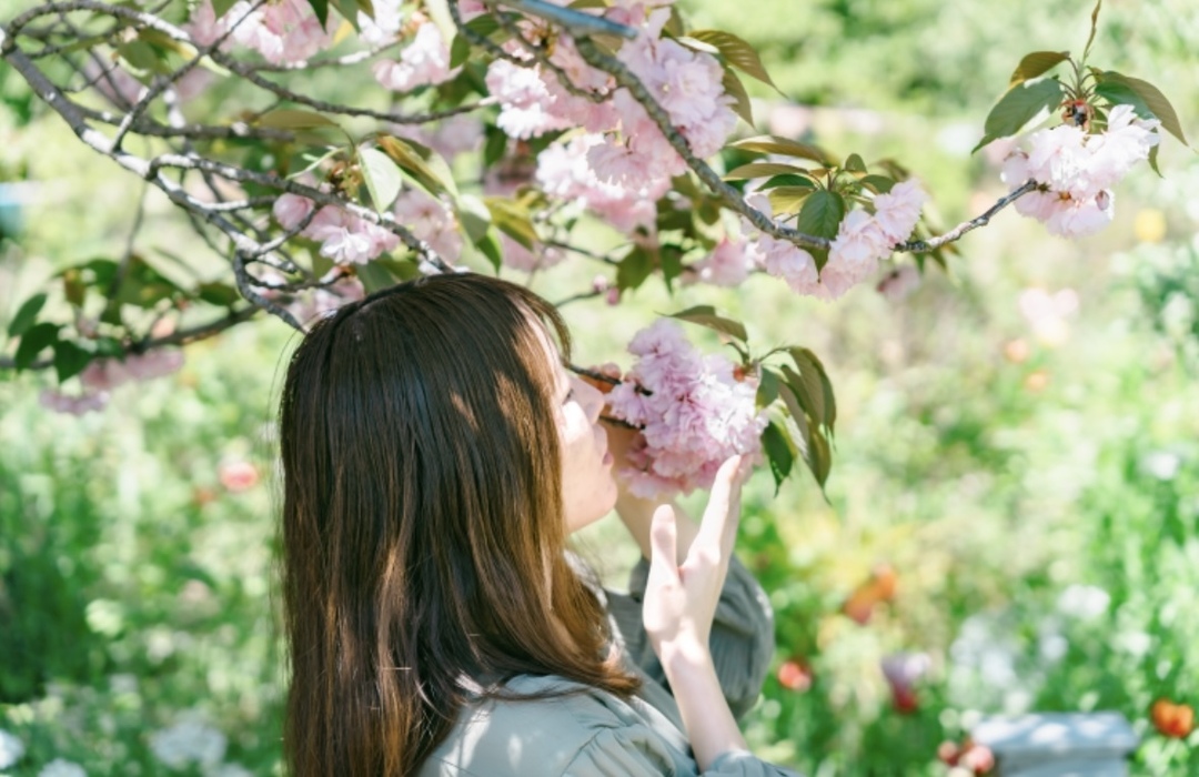 Thumb 405986ea 9efd 4e6a 925f 1d189b51082a