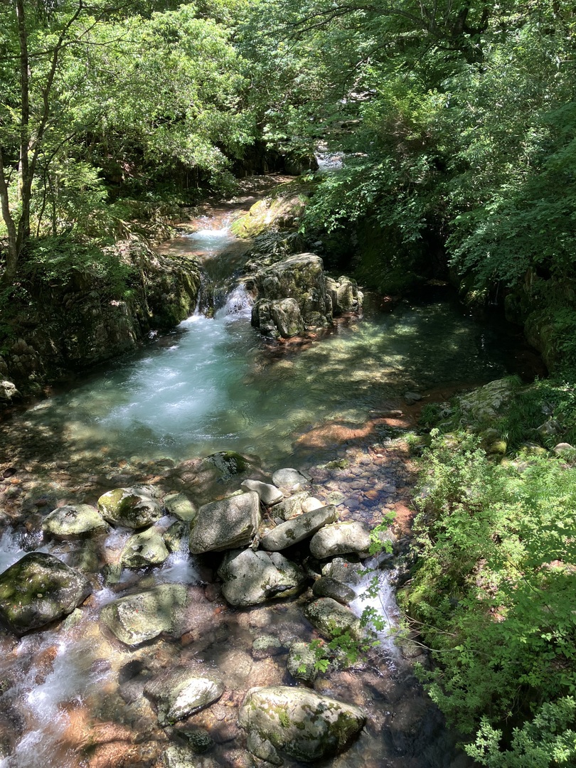 Thumb 65897ae3 15b6 446f 85a4 b15bc70875f0