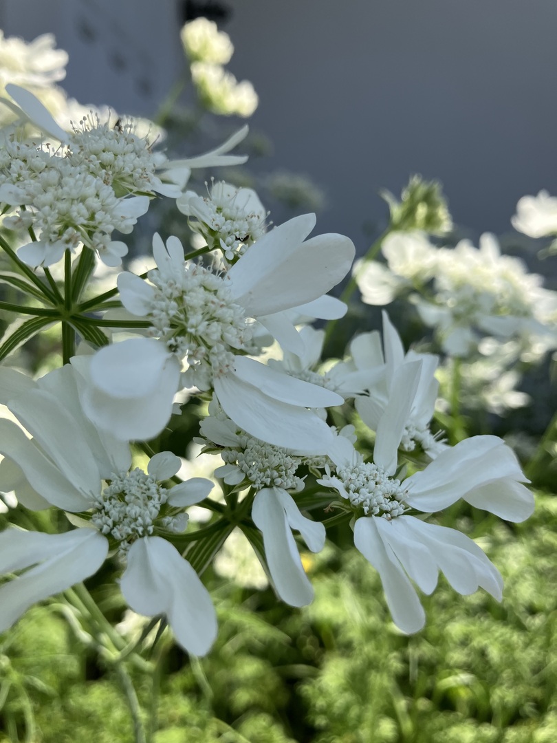 Thumb 16b988ac 2af6 4ecc 803d 83d9abcedd80