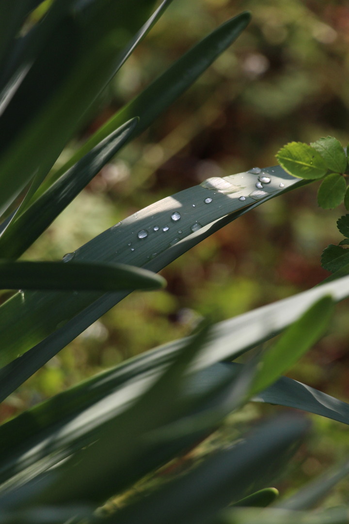 Thumb b75b1042 b97c 4f82 843a 68cc8db9f791