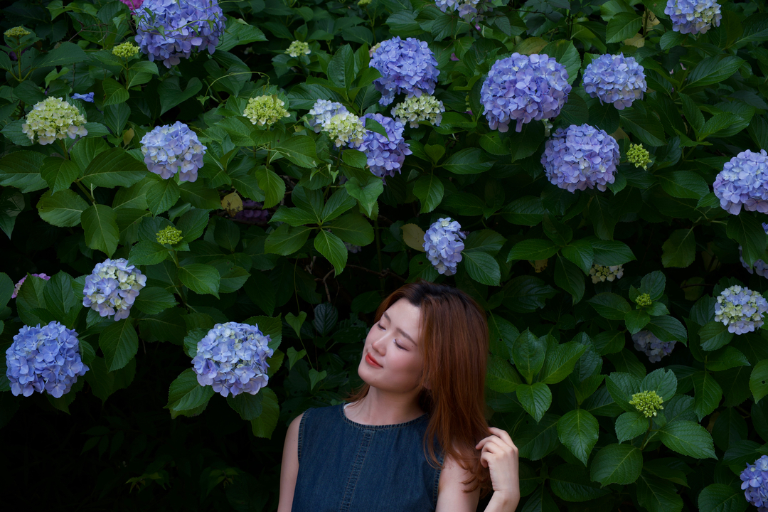 Thumb 2b48b58a dc60 4325 a66b c4a7929370c2