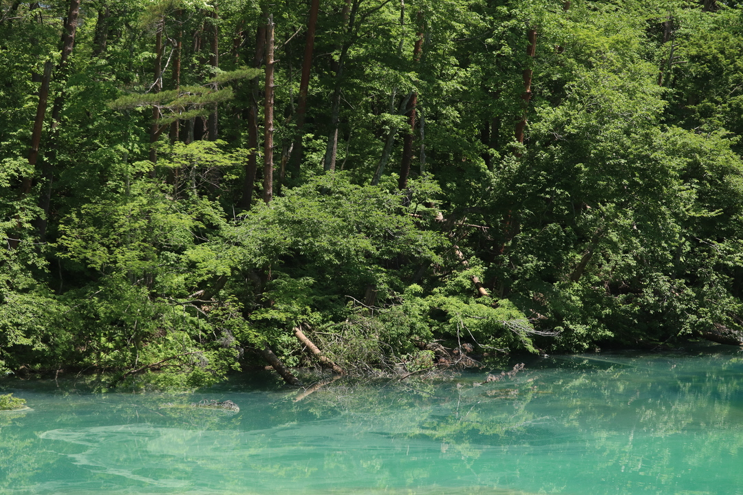 Thumb 624a4e1f 8b9f 4c33 ba9f 1c134687444a