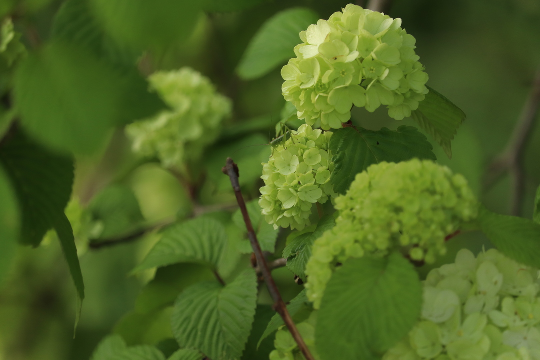 Thumb b0ebd05b 699f 49ba a043 3103a24c8ff3