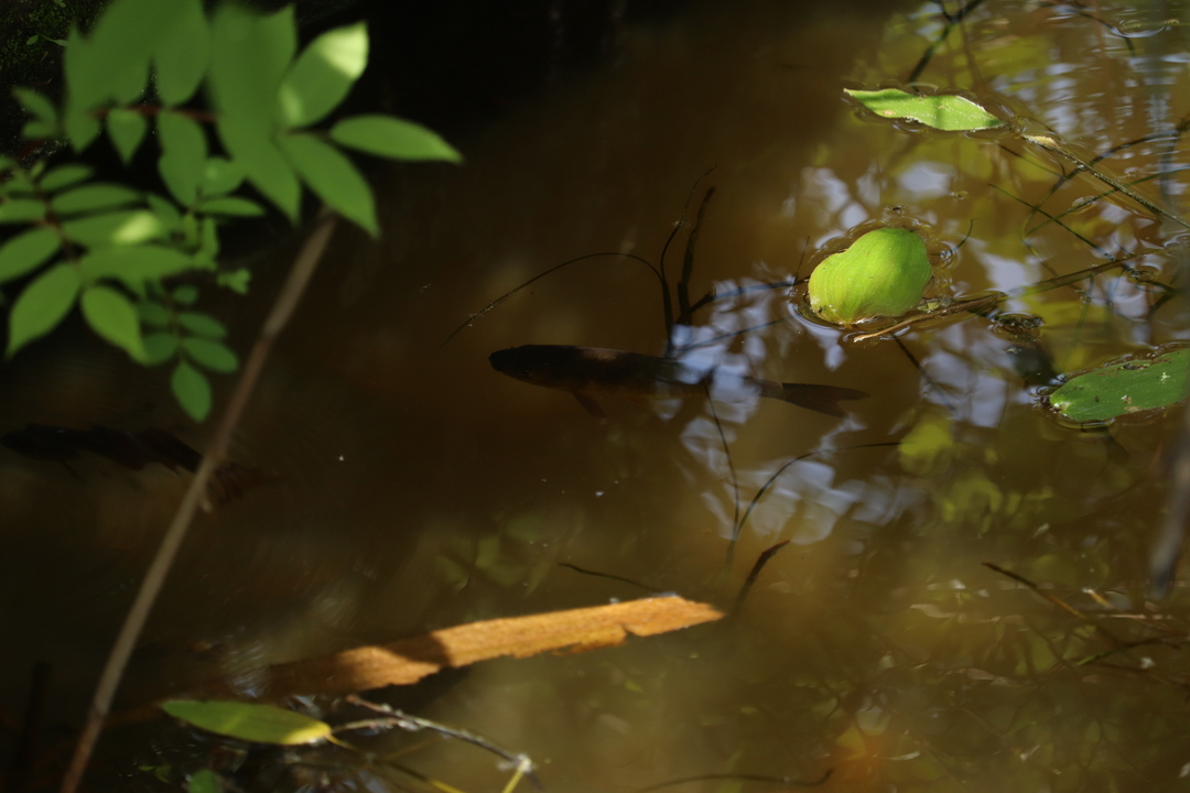 Thumb dbf20225 58ed 4058 acf5 07bb0417189a