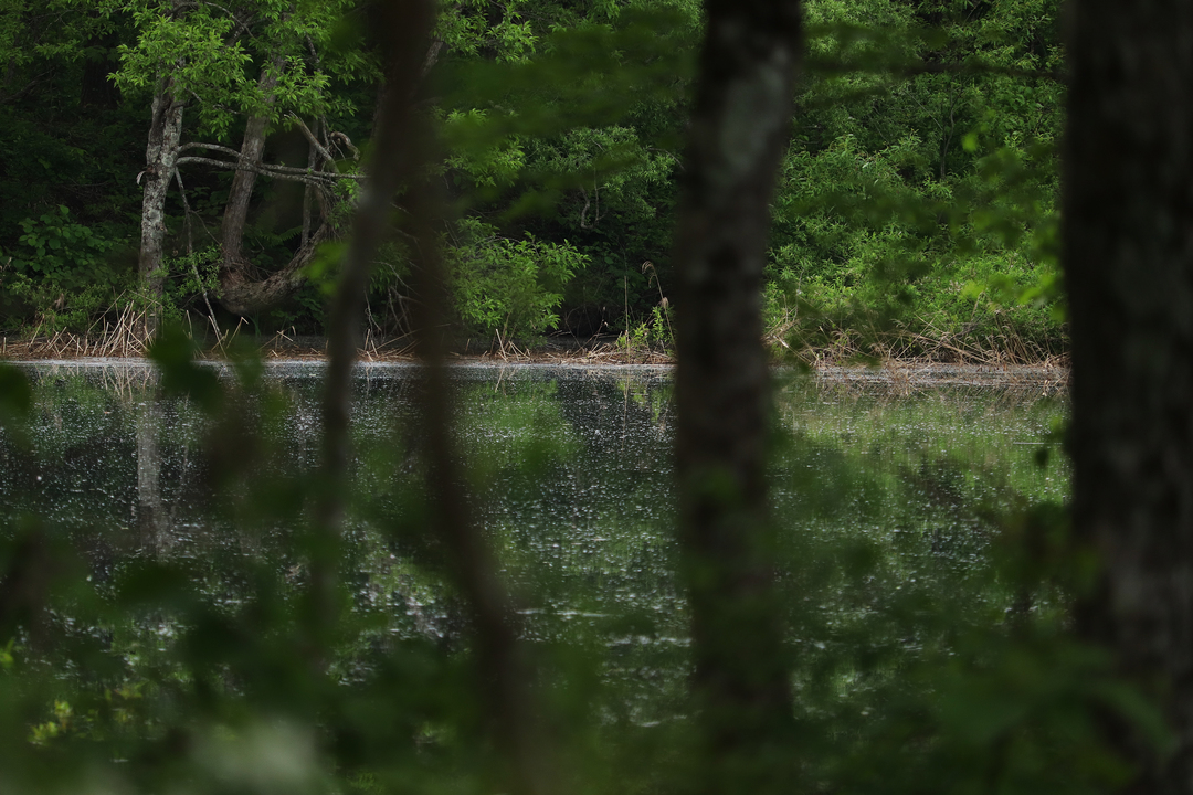 Thumb 13b9d7c3 9030 4521 8cc1 326a20427108