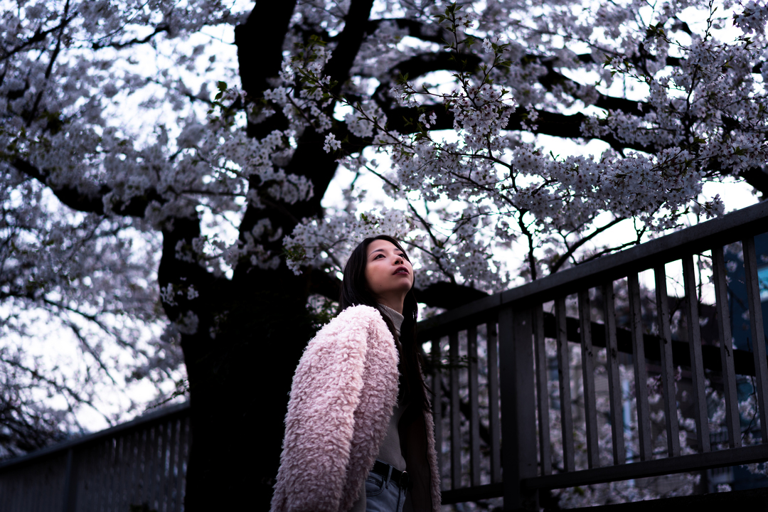 Thumb 5cdc1b0b 446d 4eaf ba69 6021c4bf5cfa