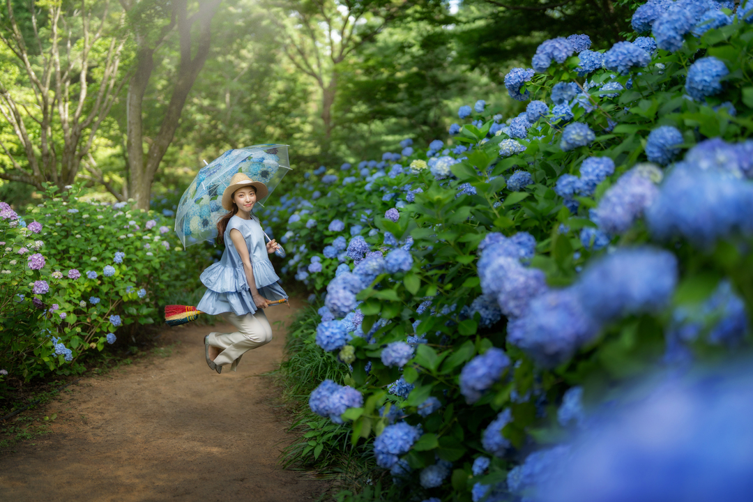 Thumb d68890e8 e52f 4039 94d6 bb3153df1a8a