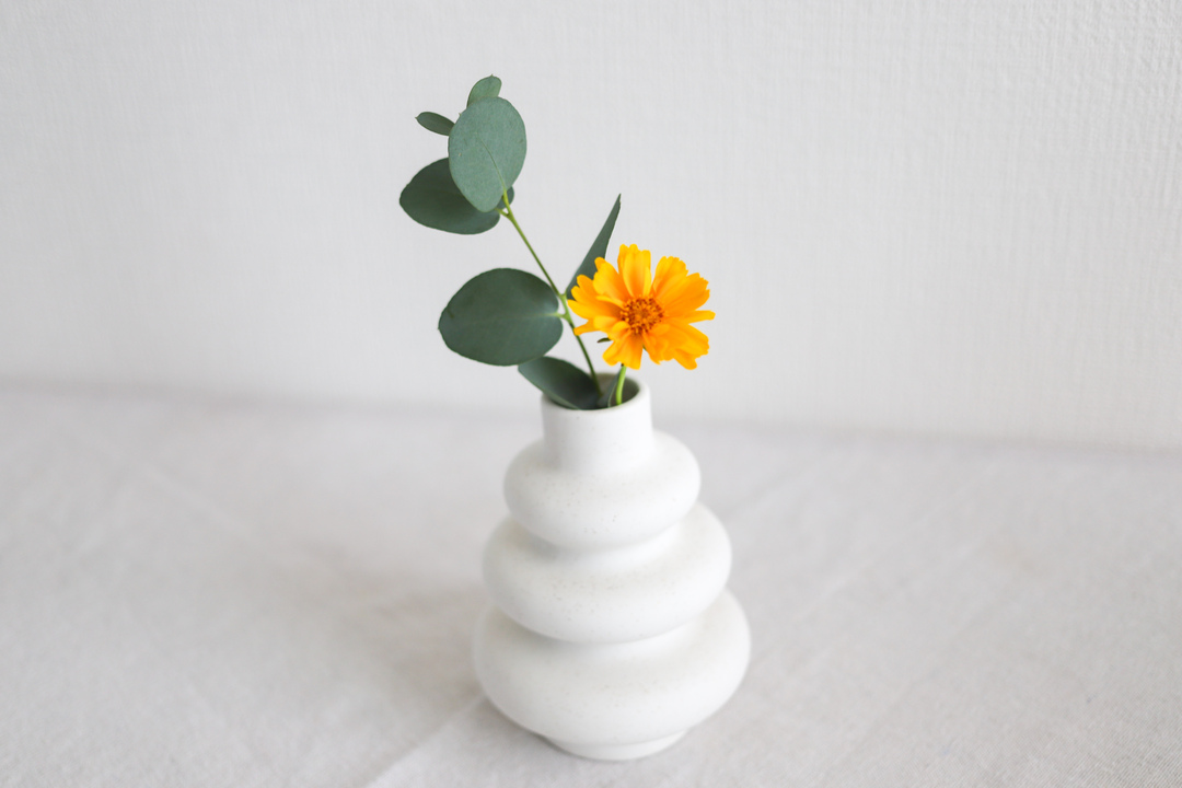 Thumb f4264c15 fad7 478d bac3 a7426f5acbe6