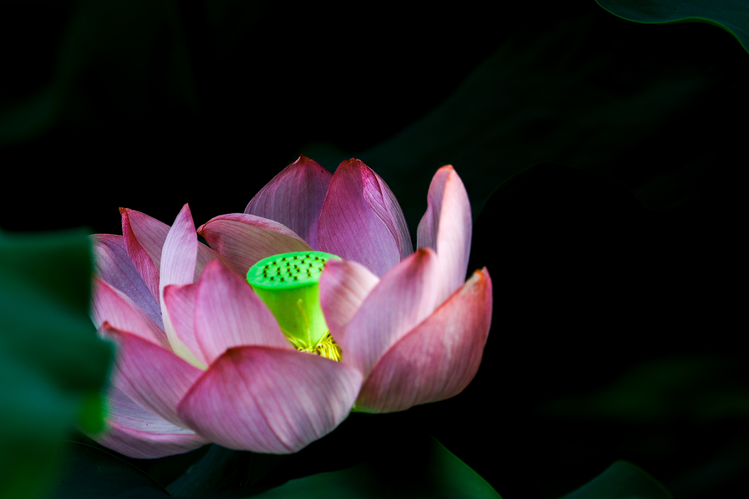 Thumb 4624a2f7 4ca4 4fb0 a697 c3cfc2428f6c