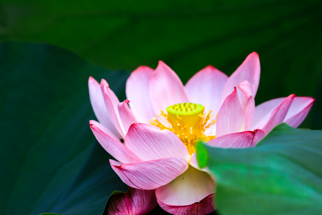 Thumb ecea38d5 0520 4625 a5ef d8b9445ca706