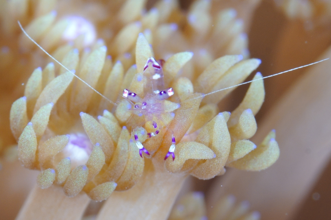 Thumb f5aa1e13 45b6 4229 b87a a37d8f5c7431