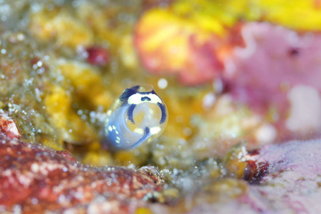 Thumb 0348729f 2e87 47ef 8d71 ddcc5c8135a7