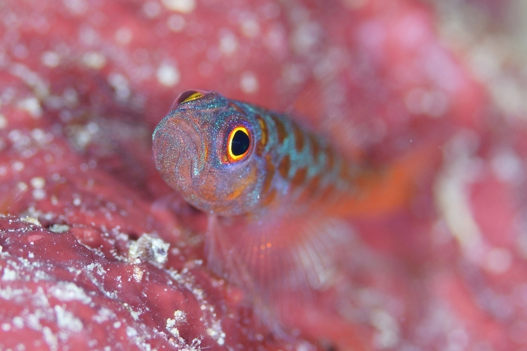 Thumb e56c4fe1 fcad 497f 9fa2 4e7447d1b180