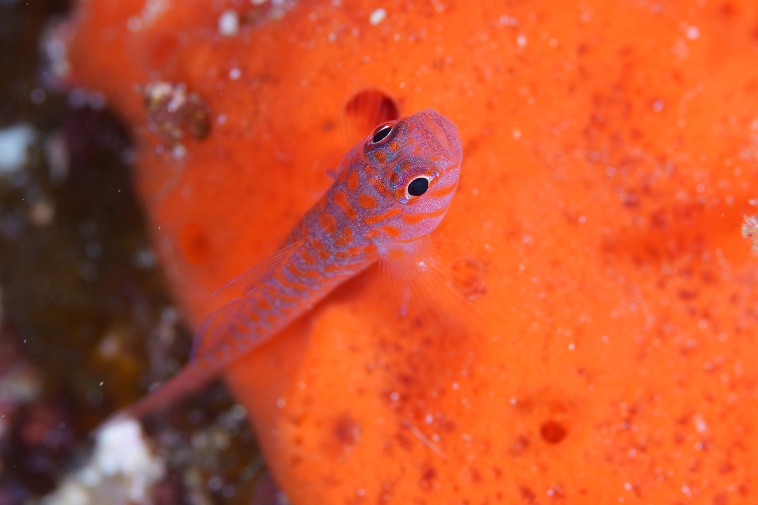 Thumb b5eeee6e d7f2 49d6 9dc4 794acbc48007