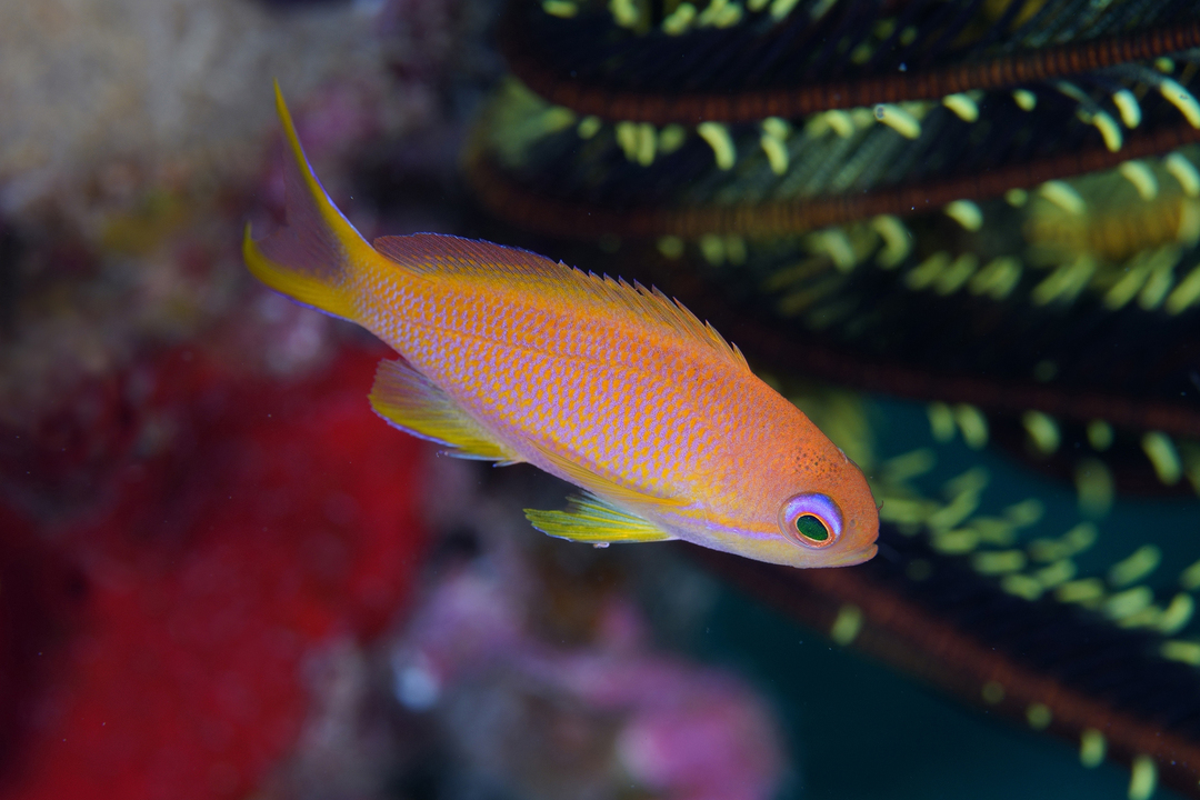 Thumb fd8045d8 cc47 4220 809b 5fb58e83011e