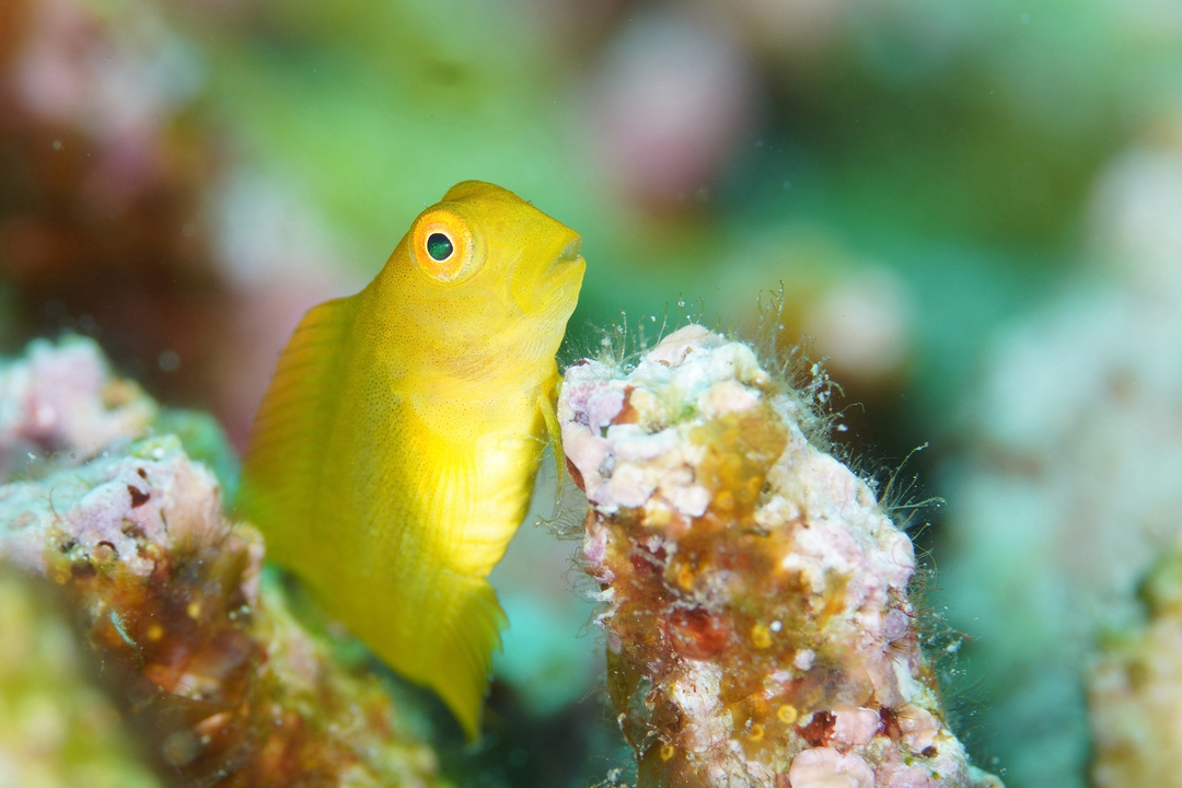 Thumb 42806b2d a1b2 4f69 8f04 650f498364f9