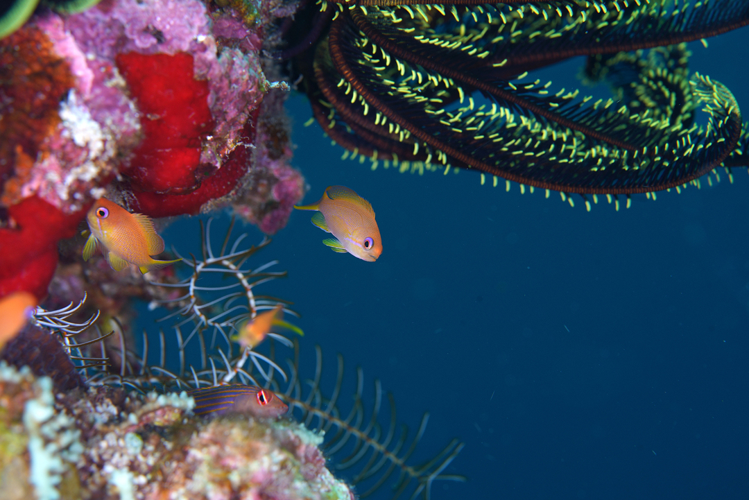 Thumb 790bbabb efb9 42e7 953f 725c87c571f1