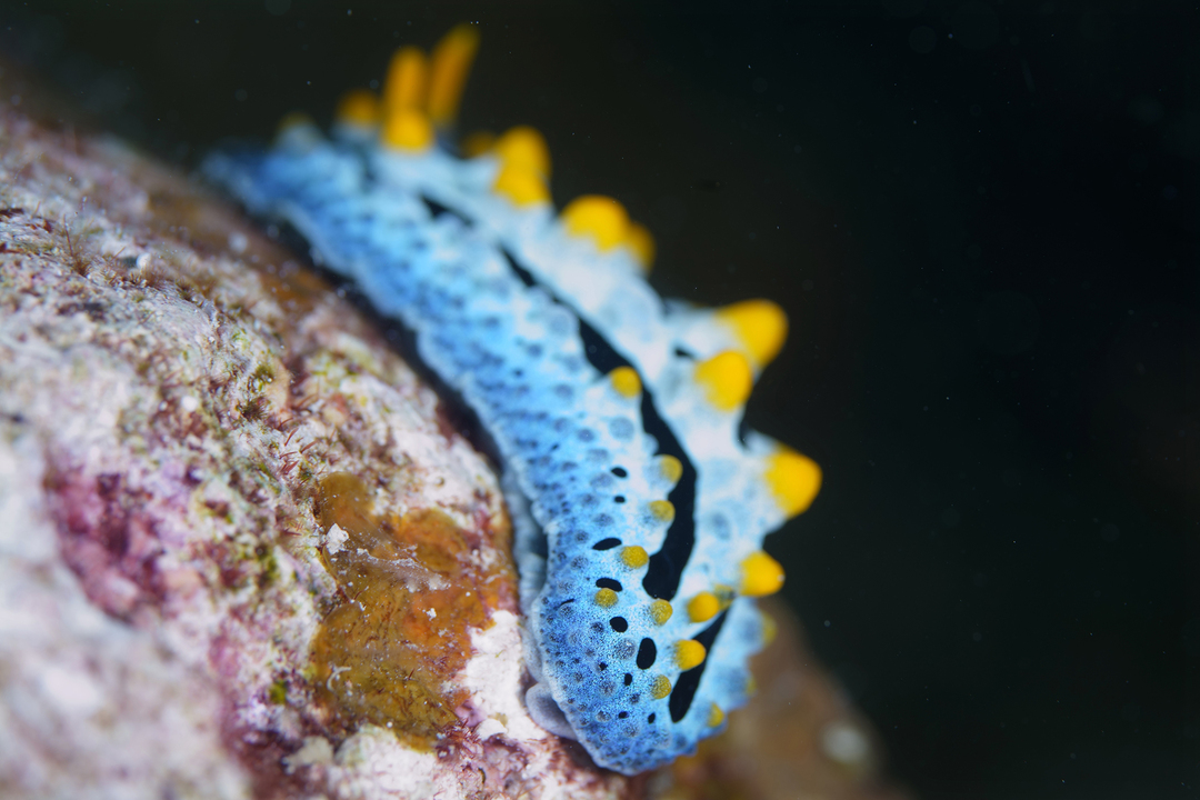 Thumb cb4ed6b6 8ab2 429d 86ab 9e7325a795da