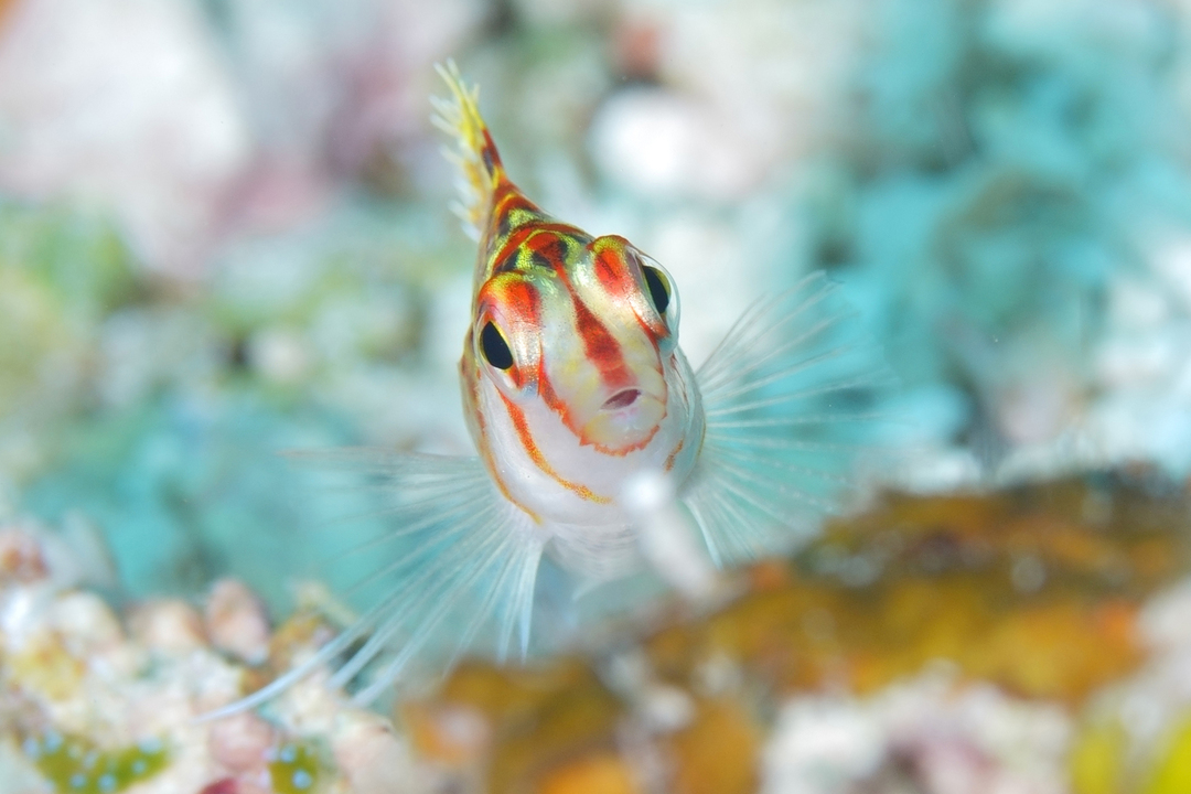 Thumb 230ec138 4b02 41f7 83bd 3609af04233f