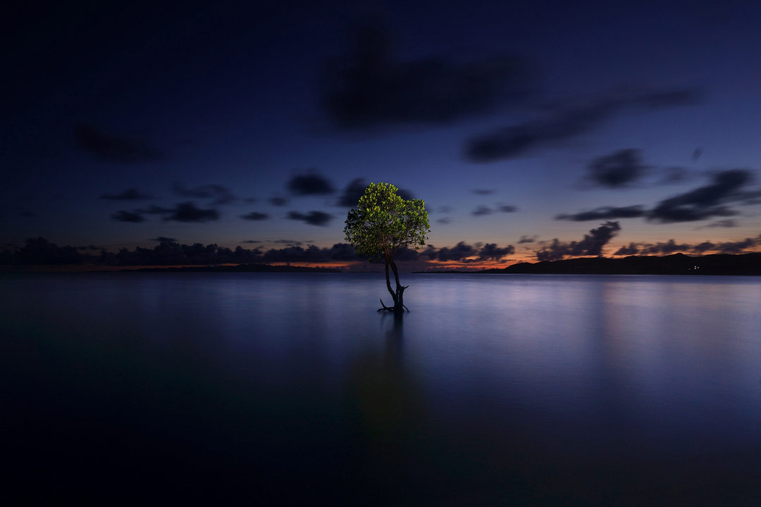 Thumb 2ed24824 4d32 4610 881c dccb4fde9c43