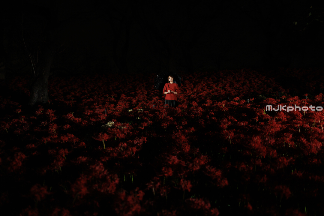 Thumb d88cdecd 8dbd 476d b9db 4123b12f2f88